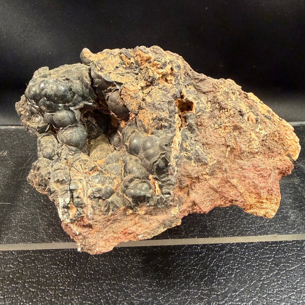 Vintage Botryoidal Goethite Mineral Specimen Iron Oxide Natural Earth Curio
